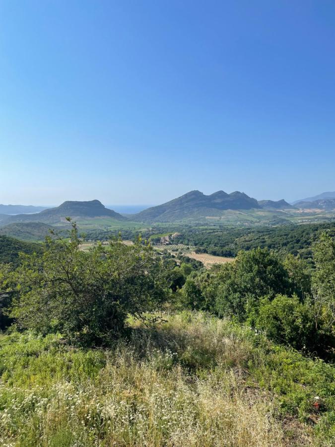 Casa Di Cajucan Poggio-d'Oletta ภายนอก รูปภาพ