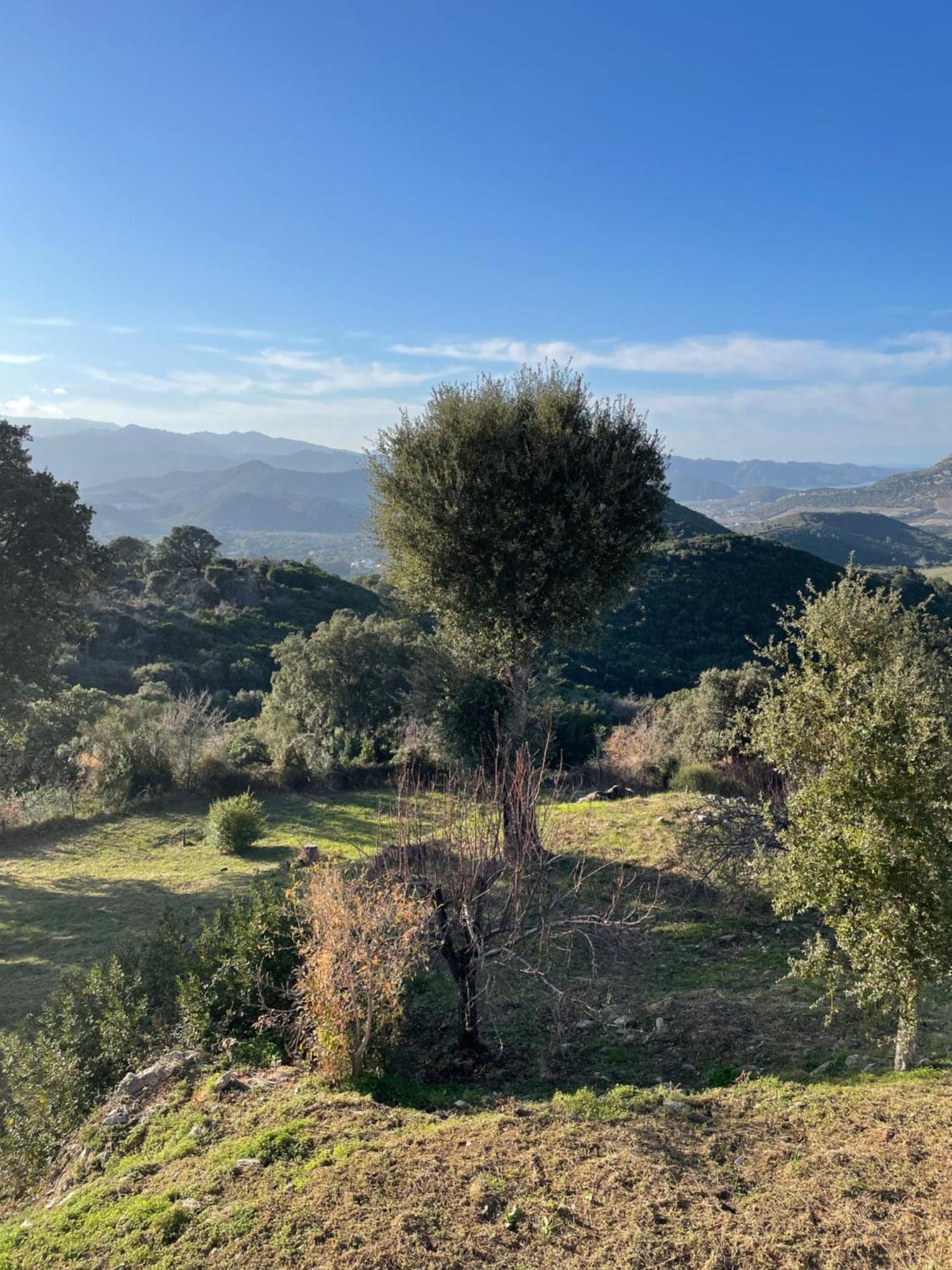 Casa Di Cajucan Poggio-d'Oletta ภายนอก รูปภาพ