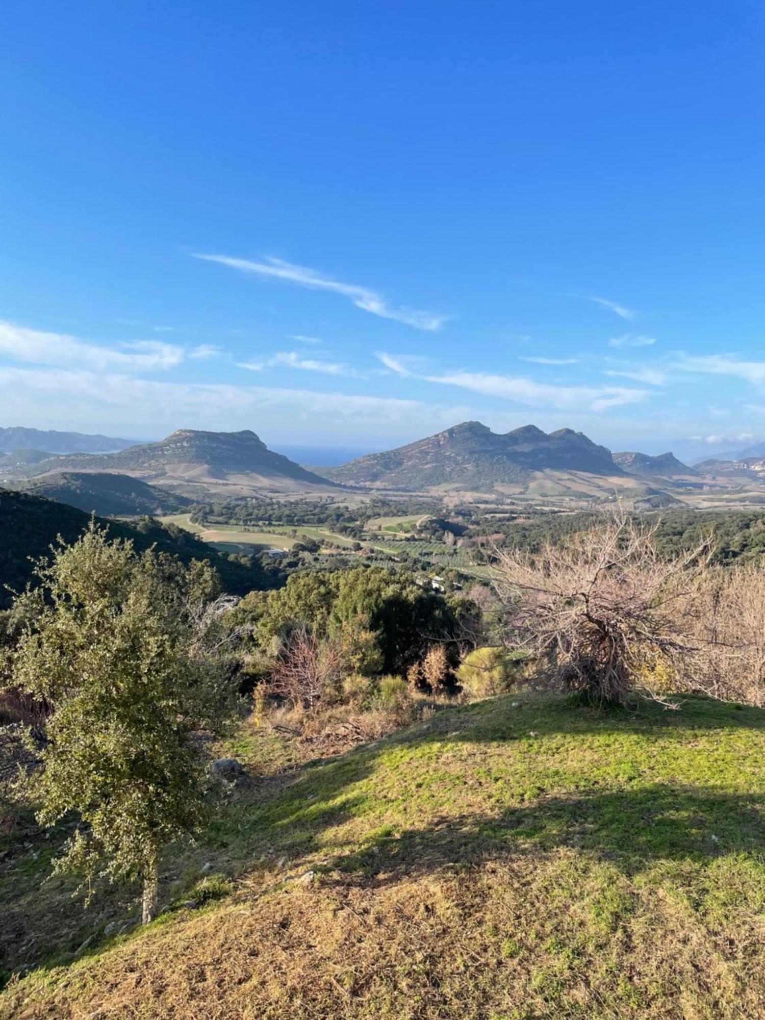 Casa Di Cajucan Poggio-d'Oletta ภายนอก รูปภาพ